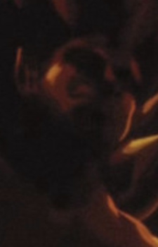 Spirit of Flame
